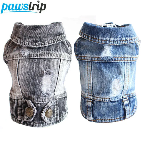  Cool Jeans Jacket for Small Dogs cashymart