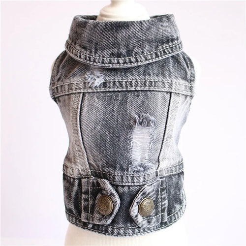  Cool Jeans Jacket for Small Dogs cashymart