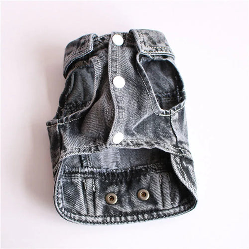  Cool Jeans Jacket for Small Dogs cashymart