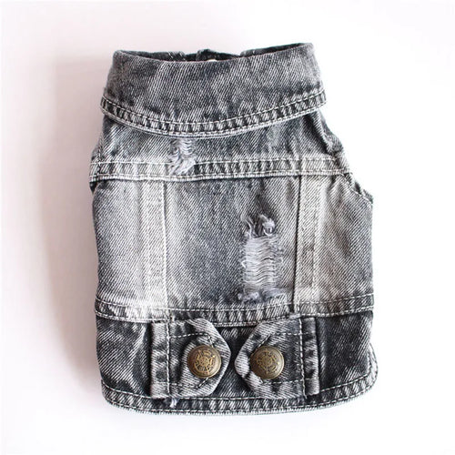  Cool Jeans Jacket for Small Dogs cashymart