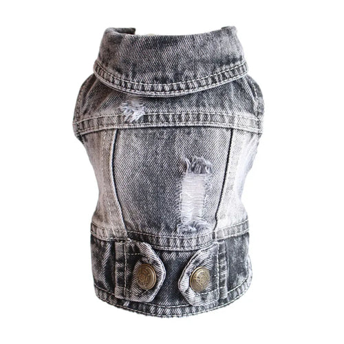  Cool Jeans Jacket for Small Dogs cashymart
