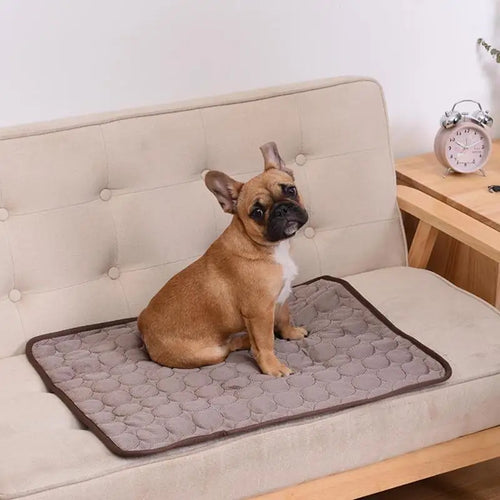 Cooling Dog Mat Summer Pad for Pets cashymart