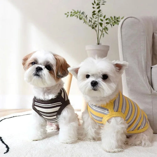  Cotton Rib Dog Shirt for Small Breeds cashymart