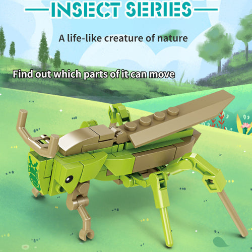  Creative Insect Construction Set cashymart