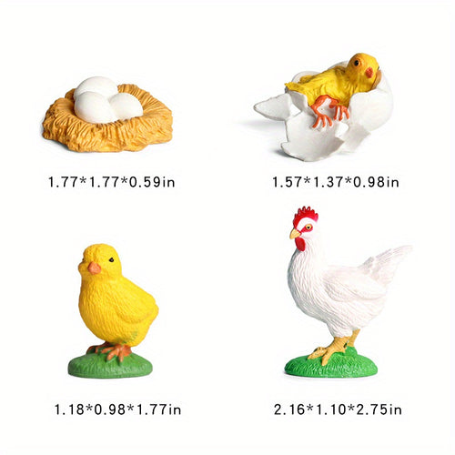  Cute Animal Life Cycle Models cashymart