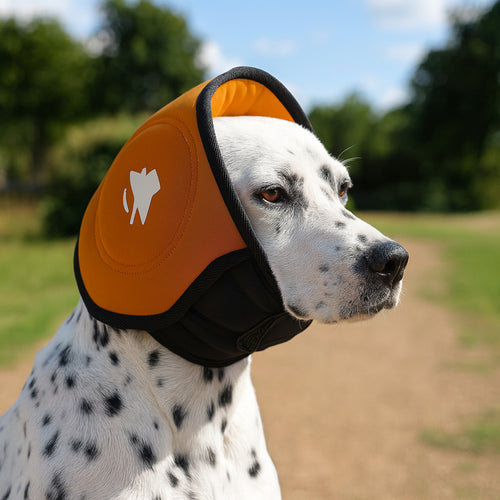  Dog Calming Hood cashymart