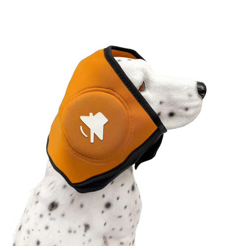  Dog Calming Hood cashymart
