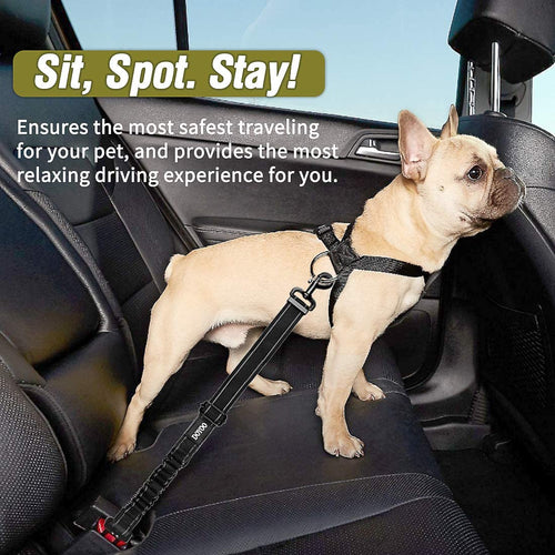  Dog Car Safety Belt cashymart