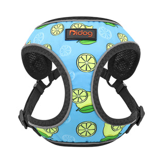  Dog Leash Vest cashymart