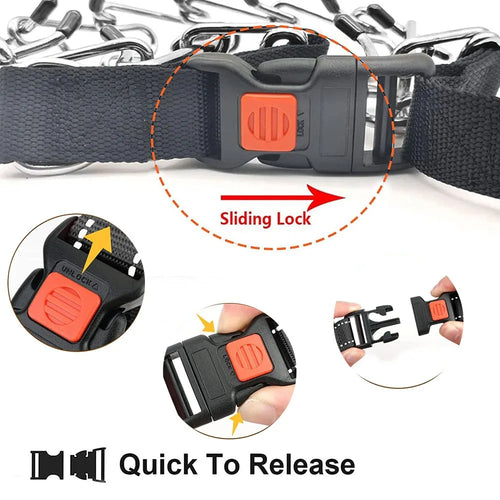  Dog Prong Training Collar cashymart