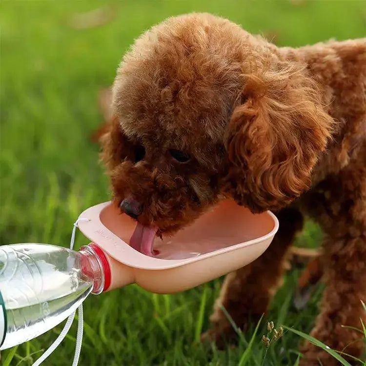  Dog Travel Water Bowl cashymart