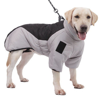  Dog Warm and Cozy in Style cashymart