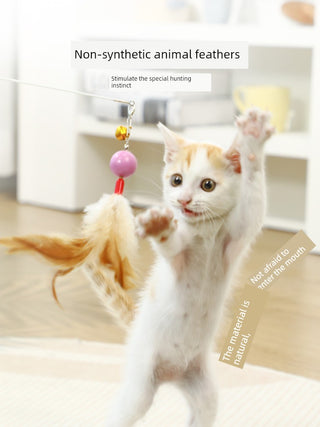  Dokete Interactive Cat Teaser Brush Holder cashymart