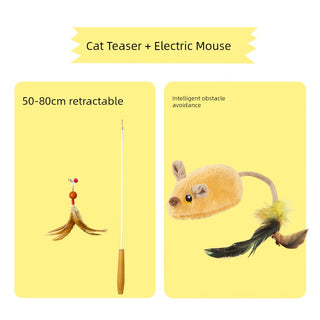  Dokete Interactive Cat Teaser Brush Holder cashymart