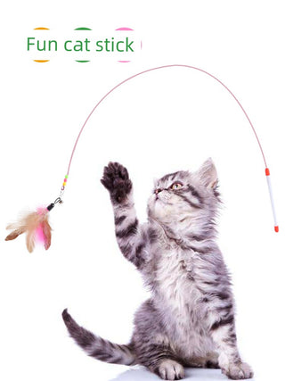  Durable Bell-Enhanced Cat Teaser cashymart