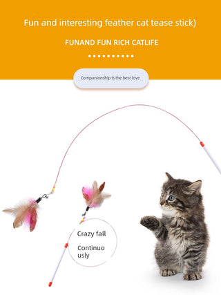  Durable Bell-Enhanced Cat Teaser cashymart