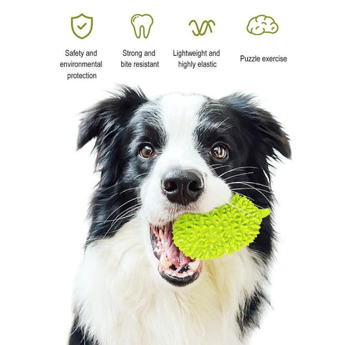  Durable Durian Pet Chew Toy cashymart