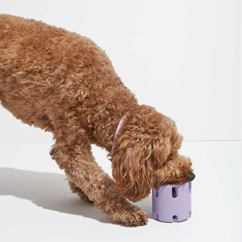  Durable Natural Rubber Dog Tennis Cup Toy cashymart