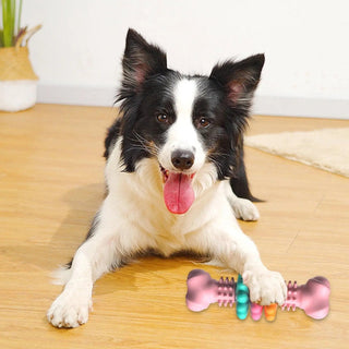  Durable TPR Dog Bone Chew Toy cashymart