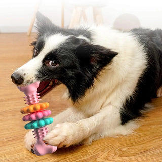  Durable TPR Dog Bone Chew Toy cashymart