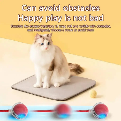  Dynamic Motion Cat Ball Toy cashymart