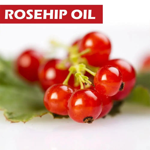  EELHOE Rosehip Serum cashymart