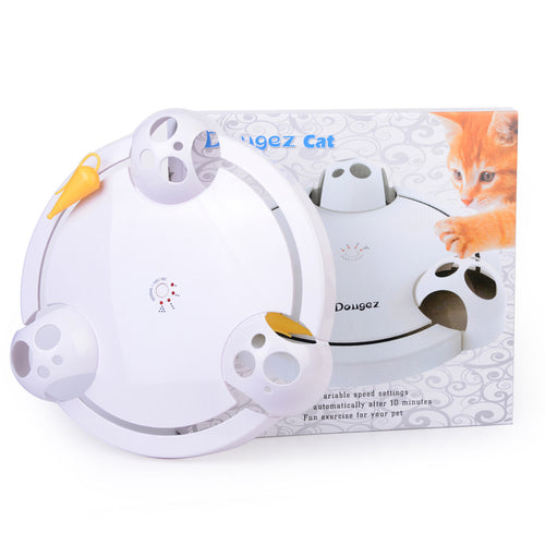  Electric Cat Toy Wheel cashymart