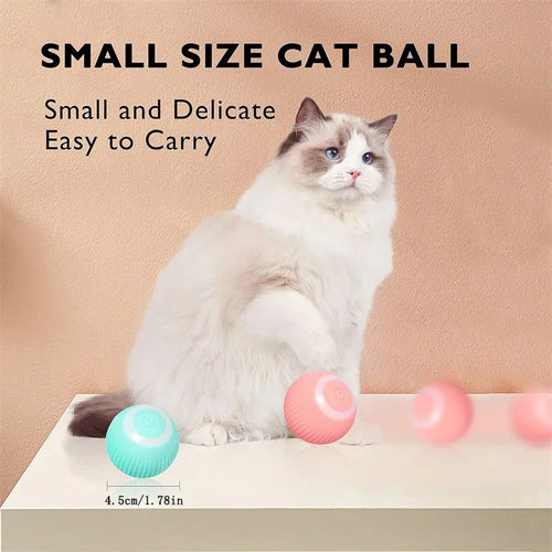  Electric Rolling Cat Toy Ball cashymart