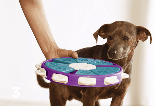  Engaging Dog Learning Toys cashymart