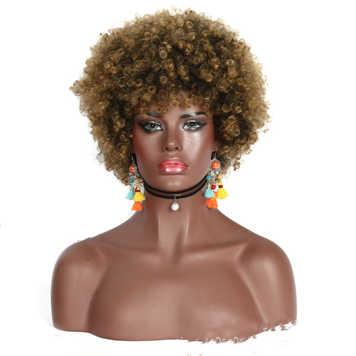  Ethnic Style High Small Curly Afro Wig cashymart