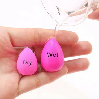  Eyeshadow Makeup Sponge cashymart