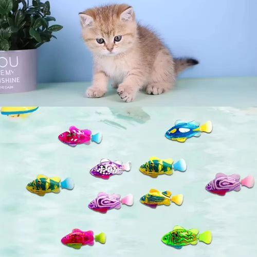  Fish Toys for Cats cashymart