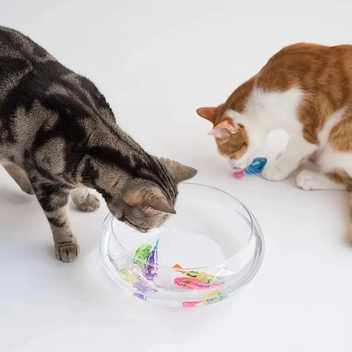  Fish Toys for Cats cashymart
