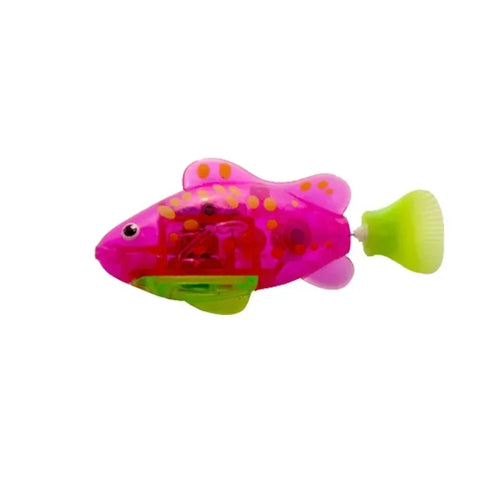  Fish Toys for Cats cashymart
