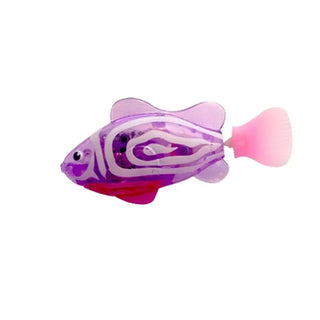 cashymart