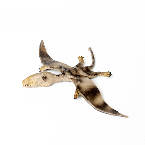  Flying Dinosaurs Toys cashymart