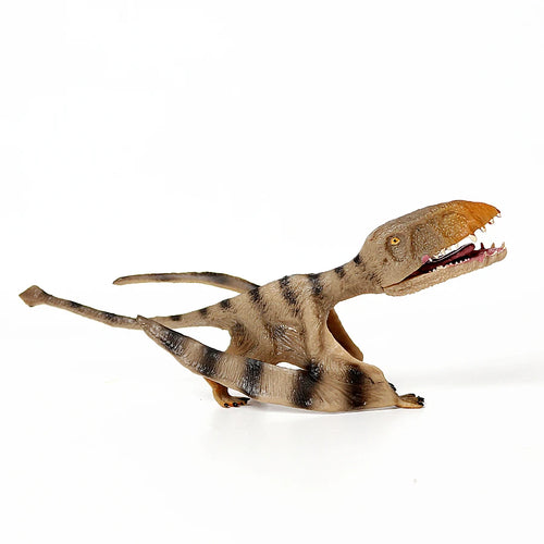  Flying Dinosaurs Toys cashymart