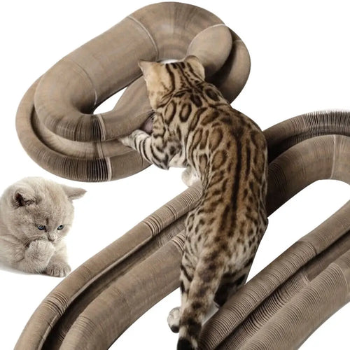  Foldable Cat Scratching Board & Play Bed cashymart