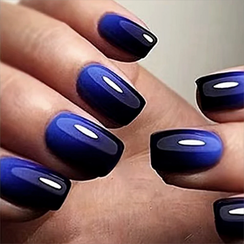  French Blue Black Gradient Fake Nails Set cashymart