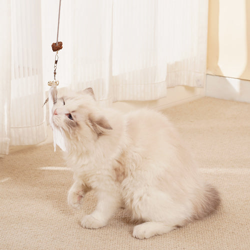  Frozen Treat Dispensing Cat Toy cashymart