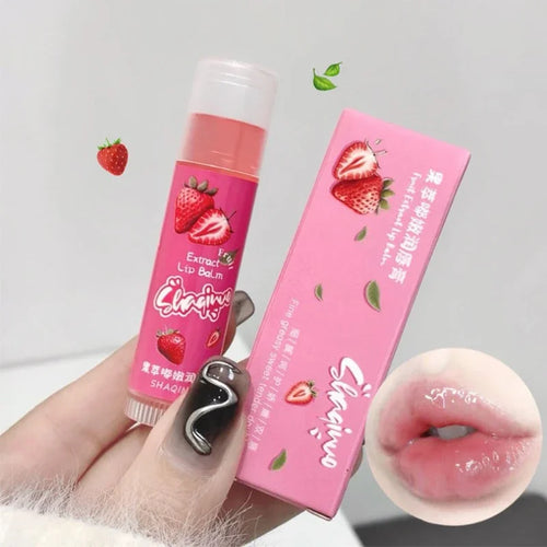  Fruit Extract Lip Balm Trio cashymart