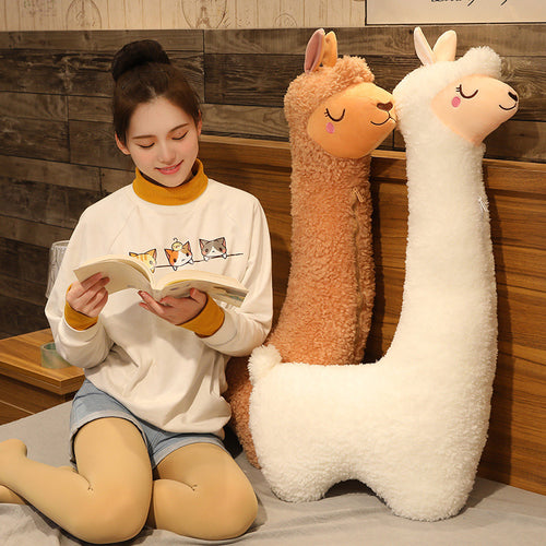  Giant Alpaca Plush cashymart