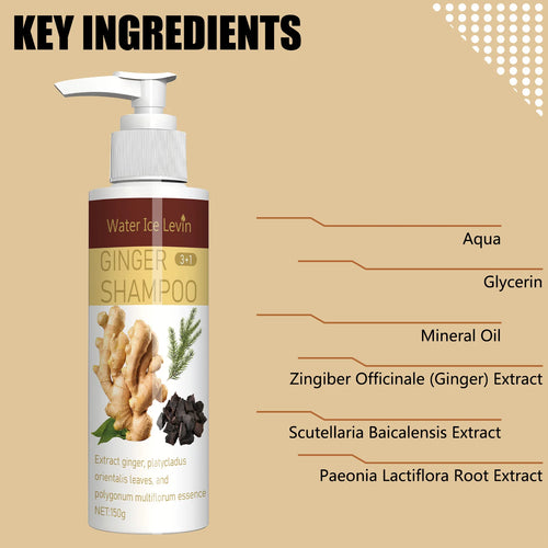  Ginger Regrowth Shampoo for Hair Loss and Dandruff cashymart