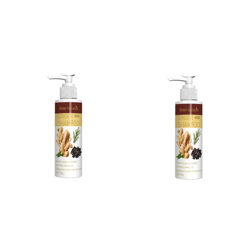  Ginger Regrowth Shampoo for Hair Loss and Dandruff cashymart
