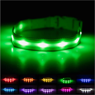  Glow in the Dark Dog Collar cashymart