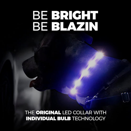  Glow in the Dark Dog Collar cashymart