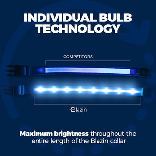 Glow in the Dark Dog Collar cashymart