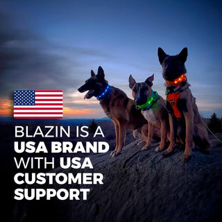  Glow in the Dark Dog Collar cashymart