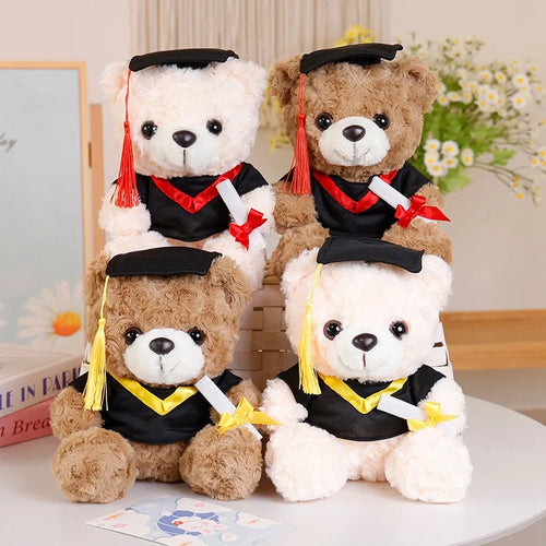 Graduation Bear Plush cashymart