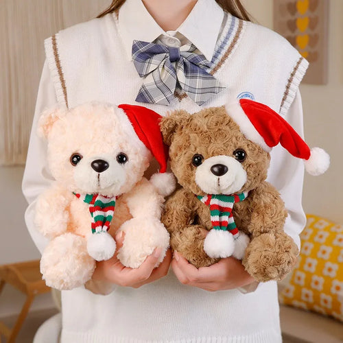  Graduation Bear Plush cashymart